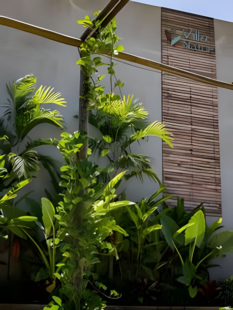 Aconchego de Milagres Casa 02 750m praia do Riacho